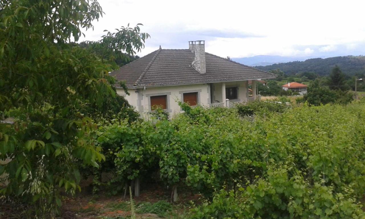 Villa Con Piscina En Panton Ribeira Sacra Galicia Ideal Para Familias Exteriér fotografie